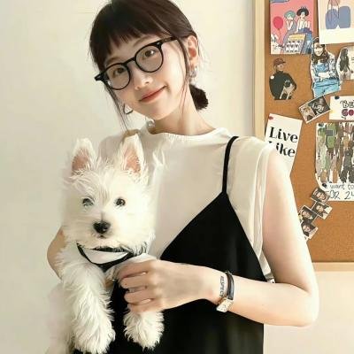 少女前线人形小剧场